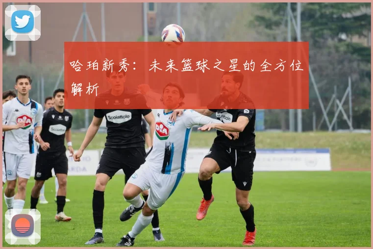 哈珀新秀：未来篮球之星的全方位解析